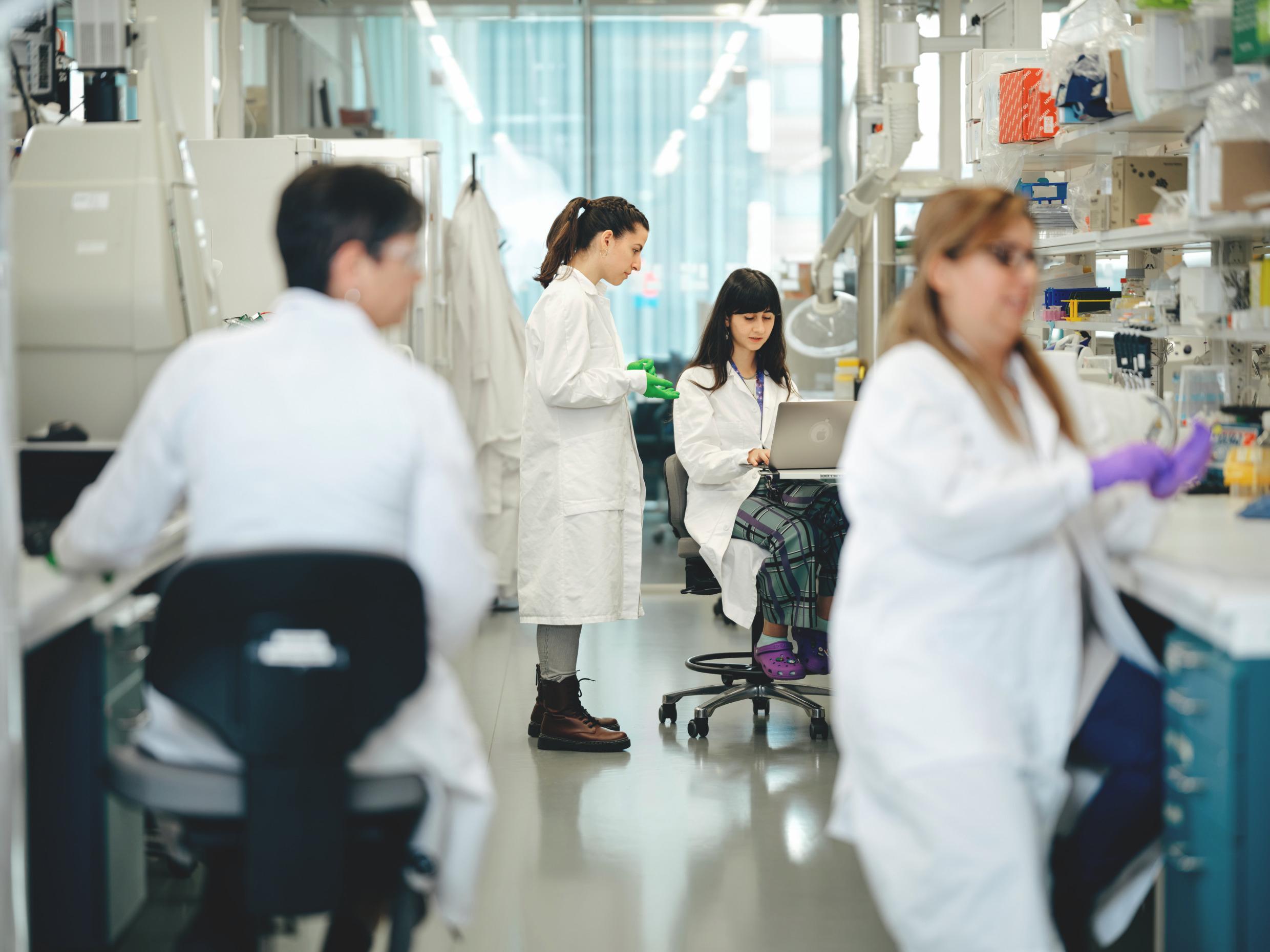 Researchers in a lab.