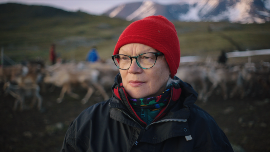 A woman in a red hat, reindeers and mountains in the background. 