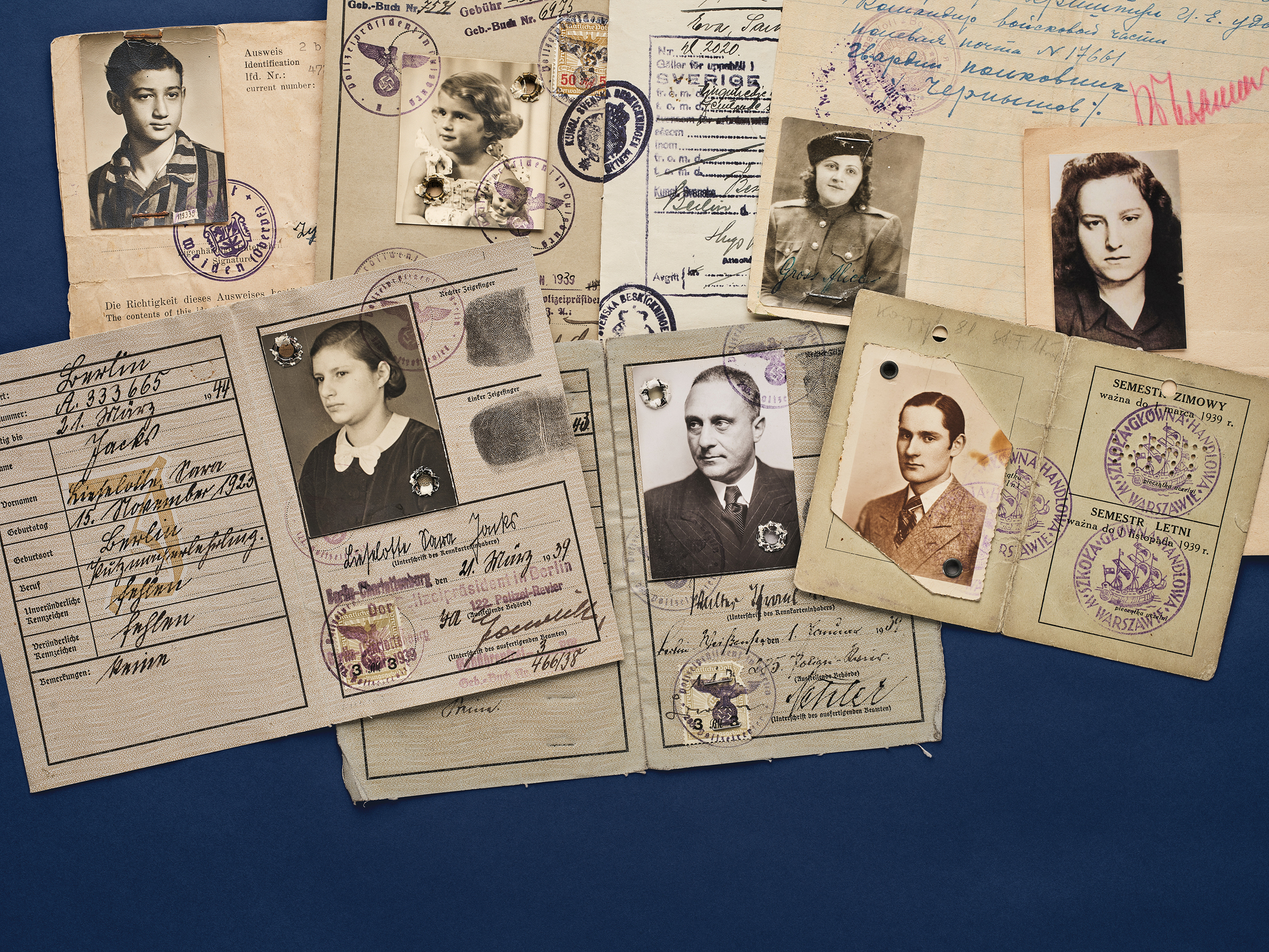 Identification documents for different people.