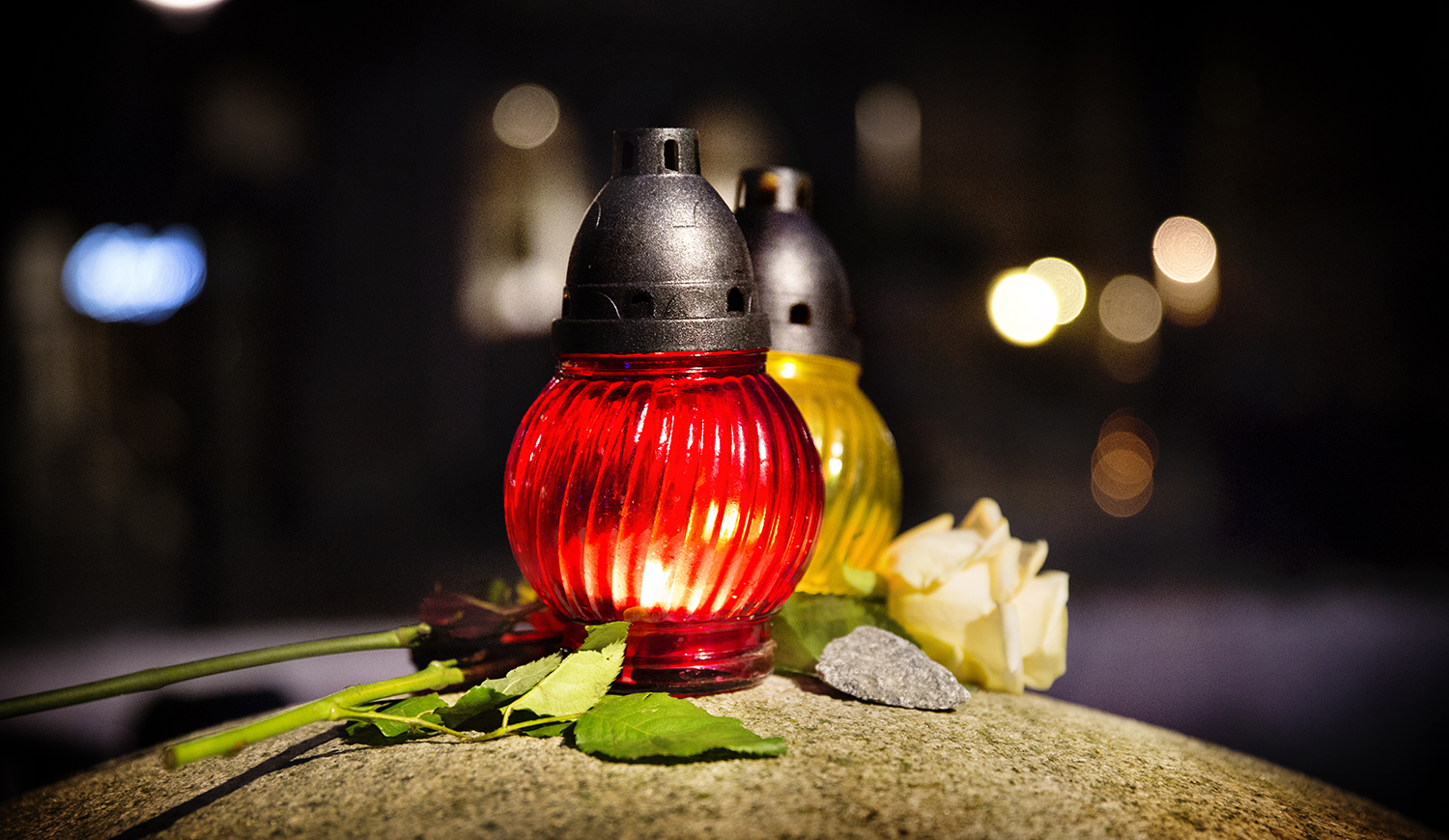 A red lantern next to a white rose.