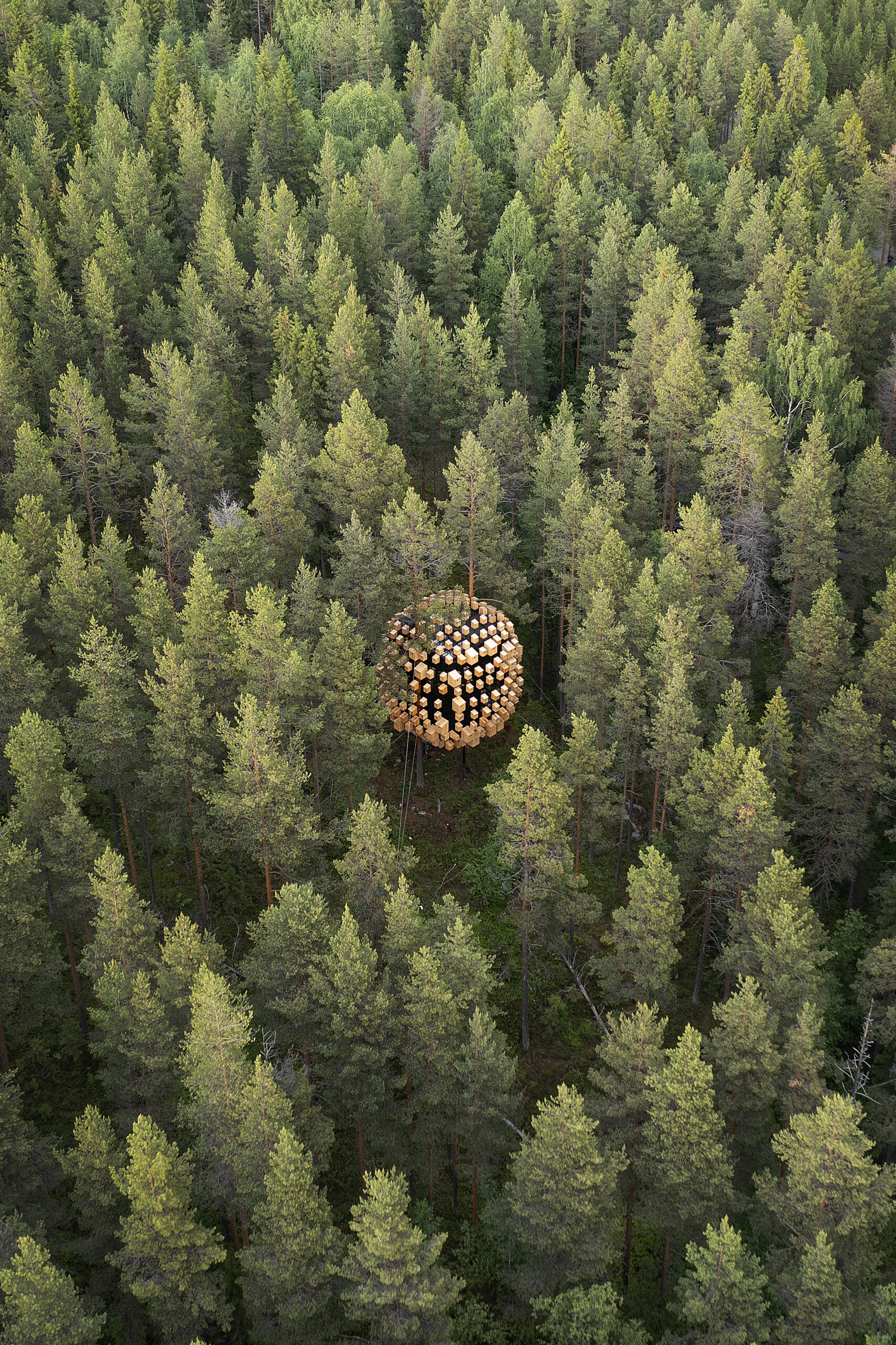 A round organic-shaped building in the middle of the forest.